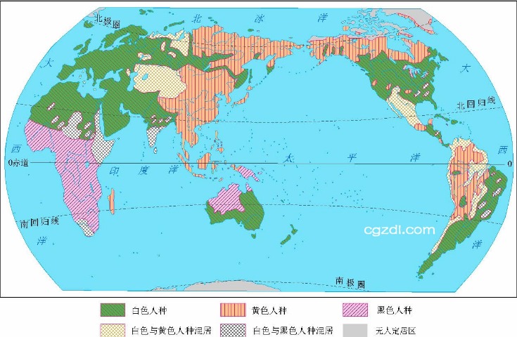 中国跳水队,全力备战,游泳世锦赛,世界杯赛事,2026世界杯,足球赛程,参赛球队,赛事分析