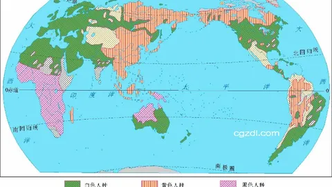 中国跳水队全力备战2025游泳世锦赛，目标再攀高峰